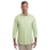 VERDE LIMAO